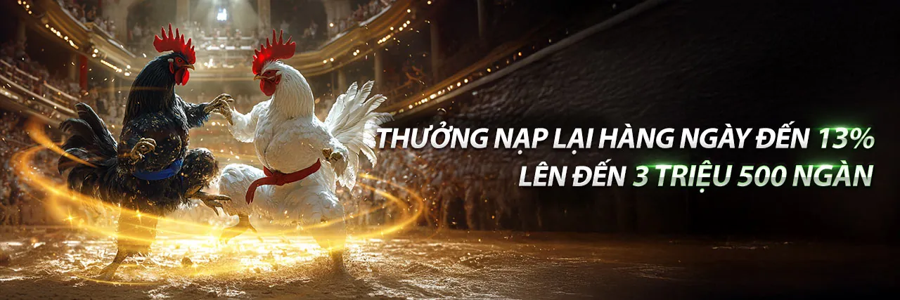Hình ảnh chính đá gà vs388 Câu hỏi thường gặp